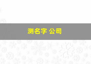 测名字 公司